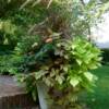 Fall Container