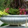 Summer Container