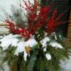 Winter Container