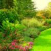 garden scape