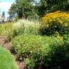 garden scape