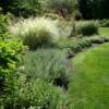 garden scape