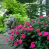 garden scape