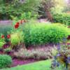 garden scape