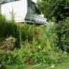 i garden before