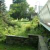 i garden before